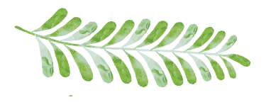 leaf1